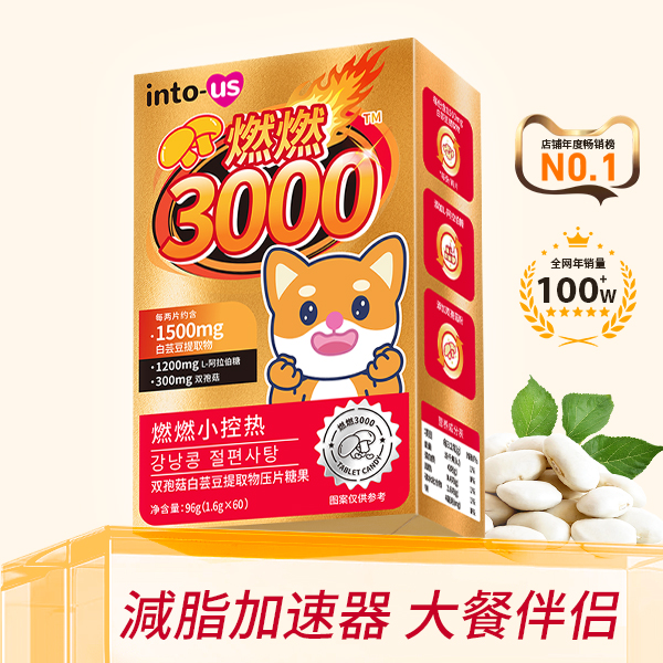 燃燃3000-第6代升级